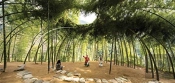 Nature: Collaborations In Design