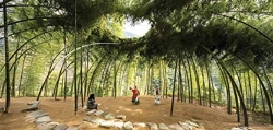 Bertrand.pt - Nature: Collaborations In Design