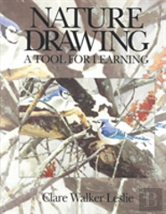 Nature Drawing: A Tool For Learning
