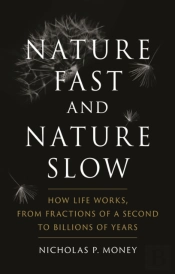 Nature Fast And Nature Slow