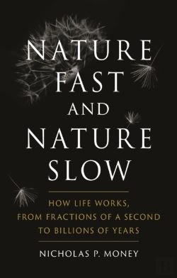 Bertrand.pt - Nature Fast And Nature Slow