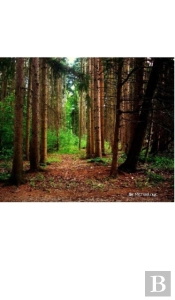 Nature Grid Style Notebook $Ir Michael Nyc Limited Edition