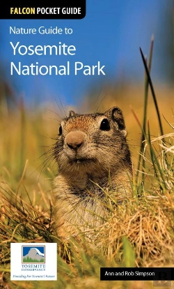 Bertrand.pt - Nature Guide To Yosemite National Park