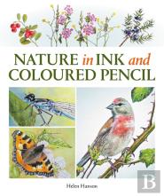 Nature In Ink And Coloured Pencil