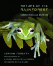 Nature Of The Rainforest