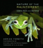 Nature Of The Rainforest