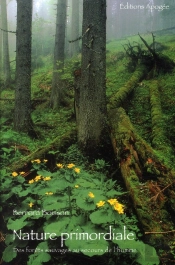 Nature Primordiale ; Des Forêts Sauvages Au Secours De L'Homme