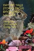 Nature Tails Stories From Backyard Wildlife