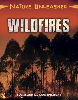 Bertrand.pt - Nature Unleashed: Wildfires