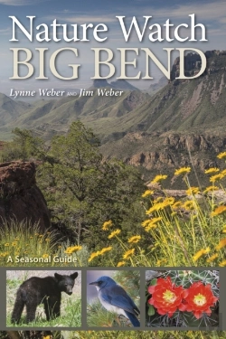 Bertrand.pt - Nature Watch Big Bend
