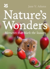 Natureâ€™S Wonders