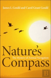 Nature'S Compass
