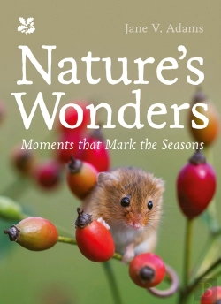 Bertrand.pt - Nature'S Wonders