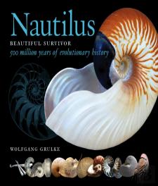 Nautilus: Beautiful Survivor. 500 Million Years Of Evolutionary History