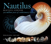 Nautilus: Beautiful Survivor. 500 Million Years Of Evolutionary History
