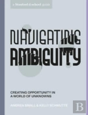 Navigating Ambiguity
