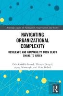 Navigating Organizational Complexity