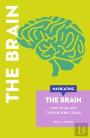 Navigating The Brain