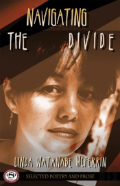 Navigating The Divide