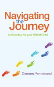 Navigating The Journey