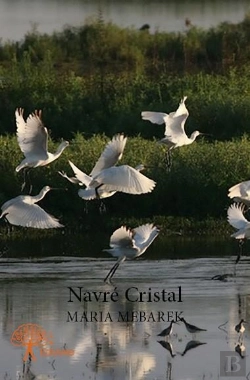 Bertrand.pt - Navre Cristal