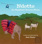 Ndotto