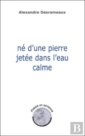 Ne D'Une Pierre Jetee Dans L'Eau Calme
