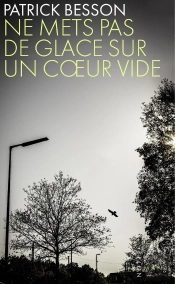 Ne Mets Pas De Glace Sur Un Coeur Vide