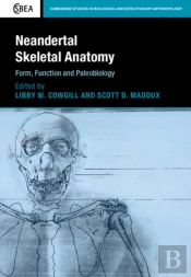 Neandertal Skeletal Anatomy