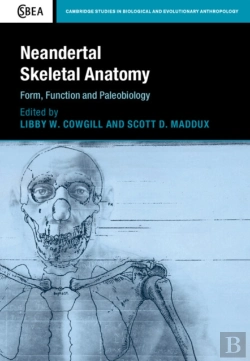 Bertrand.pt - Neandertal Skeletal Anatomy