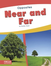 Near And Far