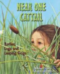 Near One Cattail