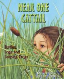 Bertrand.pt - Near One Cattail