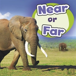 Bertrand.pt - Near Or Far