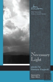 Necessary Light