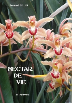 Bertrand.pt - Nectar De Vie