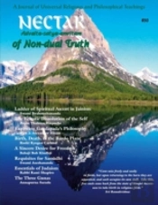 Nectar Of Non-Dual Truth #30