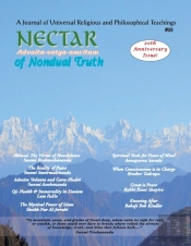 Nectar Of Non-Dual Truth #35: A Journal