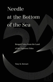 Needle At The Bottom Of The Sea
