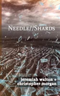 Bertrand.pt - Needle // Shards