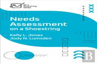 Needs Assessment On A Shoestring
