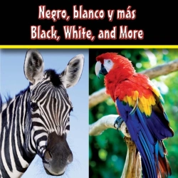 Bertrand.pt - Negro, Blanco Y Mas