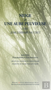 Neige Suivi De Une Aube Pluvieuse