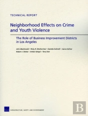 Neighborhood Effects On Crime And Youth Violence