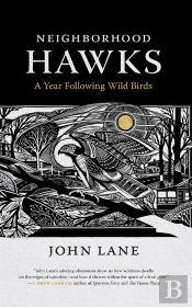 Neighborhood Hawks