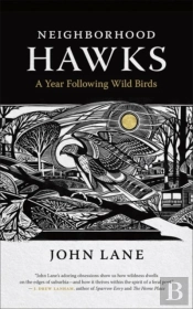 Neighborhood Hawks