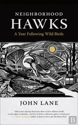 Bertrand.pt - Neighborhood Hawks
