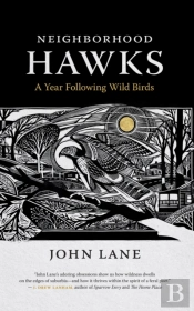 Neighborhood Hawks