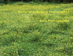 Neighborhood Naturalist