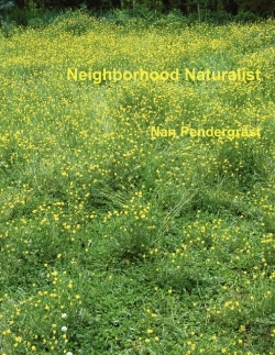 Bertrand.pt - Neighborhood Naturalist